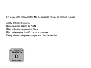 ALTERNATIVA
CORRECTA
D
Comprensión
En las células procariontes NO es correcto hablar de mitosis, ya que
A)hay síntesis de ADN.
B)existen dos copias de ADN.
C)se obtienen dos células hijas.
D)no existe organización de cromosomas.
E)hay síntesis de proteínas para la división celular.
 