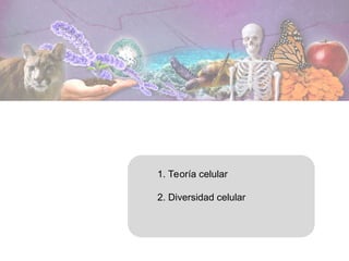 1. Teoría celular
2. Diversidad celular
 