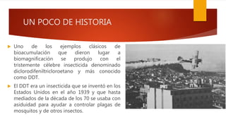 UN POCO DE HISTORIA
 Uno de los ejemplos clásicos de
bioacumulación que dieron lugar a
biomagnificación se produjo con el
tristemente célebre insecticida denominado
diclorodifeniltricloroetano y más conocido
como DDT.
 El DDT era un insecticida que se inventó en los
Estados Unidos en el año 1939 y que hasta
mediados de la década de los 70 se usaba con
asiduidad para ayudar a controlar plagas de
mosquitos y de otros insectos.
 