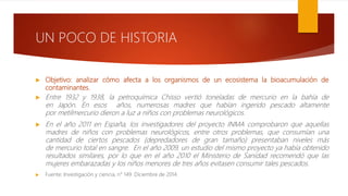  Objetivo: analizar cómo afecta a los organismos de un ecosistema la bioacumulación de
contaminantes.
 Entre 1932 y 1938, la petroquímica Chisso vertió toneladas de mercurio en la bahía de
en Japón. En esos años, numerosas madres que habían ingerido pescado altamente
por metilmercurio dieron a luz a niños con problemas neurológicos.
 En el año 2011 en España, los investigadores del proyecto INMA comprobaron que aquellas
madres de niños con problemas neurológicos, entre otros problemas, que consumían una
cantidad de ciertos pescados (depredadores de gran tamaño) presentaban niveles más
de mercurio total en sangre. En el año 2009, un estudio del mismo proyecto ya había obtenido
resultados similares, por lo que en el año 2010 el Ministerio de Sanidad recomendó que las
mujeres embarazadas y los niños menores de tres años evitasen consumir tales pescados.
 Fuente: Investigación y ciencia, n° 149. Diciembre de 2014.
UN POCO DE HISTORIA
 