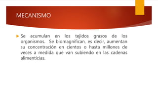 MECANISMO
 Se acumulan en los tejidos grasos de los
organismos. Se biomagnifican, es decir, aumentan
su concentración en cientos o hasta millones de
veces a medida que van subiendo en las cadenas
alimenticias.
 