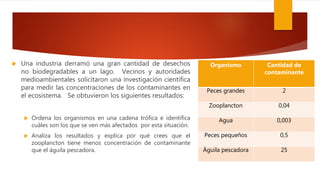  Una industria derramó una gran cantidad de desechos
no biodegradables a un lago. Vecinos y autoridades
medioambientales solicitaron una investigación científica
para medir las concentraciones de los contaminantes en
el ecosistema. Se obtuvieron los siguientes resultados:
 Ordena los organismos en una cadena trófica e identifica
cuáles son los que se ven más afectados por esta situación.
 Analiza los resultados y explica por qué crees que el
zooplancton tiene menos concentración de contaminante
que el águila pescadora.
Organismo Cantidad de
contaminante
Peces grandes 2
Zooplancton 0,04
Agua 0,003
Peces pequeños 0,5
Águila pescadora 25
 