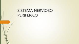 SISTEMA NERVIOSO
PERIFÉRICO
 