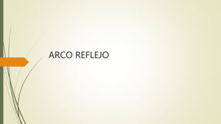 ARCO REFLEJO
 