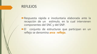 REFLEJOS
Respuesta rápida e involuntaria elaborada ante la
recepción de un estímulo, en la cual intervienen
componentes del SNC y del SNP.
El conjunto de estructuras que participan en un
reflejo se denomina arco reflejo.
 