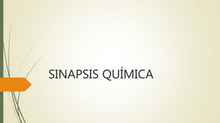 SINAPSIS QUÍMICA
 