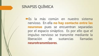 SINAPSIS QUÍMICA
Es la más común en nuestro sistema
nervioso. En ella no hay contacto entre las
neuronas pues se encuentran separadas
por el espacio sináptico. Es por ello que el
impulso nervioso se transmite mediante la
liberación de sustancias llamadas
neurotransmisores.
 