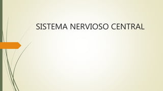 SISTEMA NERVIOSO CENTRAL
 