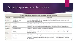Órganos que secretan hormonas
 