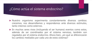 ¿Cómo actúa el sistema endocrino?
 Nuestro organismo experimenta constantemente diversos cambios:
crecemos, nos desarrollamos y respondemos ante diversos estímulos,
tanto internos como externos.
 En muchos seres vivos (incluyendo el ser humano) eventos como estos,
además de ser coordinados por el sistema nervioso, también son
regulados por el sistema endocrino. Ahora bien, ¿en qué se diferenciarán
los cambios mediados por cada uno de estos sistemas?
 