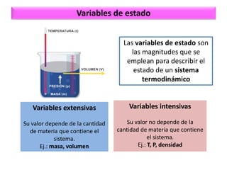 Variables Extensivas clase Bioenergética de la materia de bioquímica de veterinaria | PDF