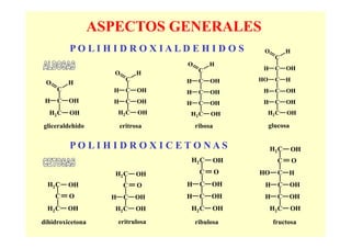 ASPECTOS GENERALES
         PO LI H I D R O X IALD E H I D O S            O          H
                                                             C
                                     O        H
                                          C            H     C    OH
                    O          H
                          C          H    C   OH      HO     C    H
 O       H
     C              H     C    OH    H    C   OH       H     C    OH
 H   C   OH         H     C    OH    H    C   OH       H     C    OH
  H2 C   OH             H2 C   OH    H2 C     OH       H2 C       OH

gliceraldehido          eritrosa         ribosa            glucosa


         PO LI H I D R O X I C ETO NAS                     H2 C       OH
                                     H2 C      OH             C       O
                     H2 C      OH         C       O   HO      C   H
  H2 C   OH              C     O     H    C   OH       H      C      OH
     C   O          H    C     OH    H    C   OH       H      C      OH
  H2 C   OH          H2 C      OH    H2 C     OH           H2 C      OH

dihidroxicetona         eritrulosa       ribulosa           fructosa
 