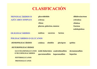 CLASIFICACIÓN
MONOSACÁRIDOS O         gliceraldehido                            dihidroxiacetona
AZÚCARES SIMPLES        eritrosa                                  eritrulosa
                        ribosa                                    ribulosa
                        glucosa, galactosa, manosa                fructosa
                                                                  sedoheptulosa

OLIGOSACÁRIDOS          maltosa     sacarosa     lactosa

POLISACÁRIDOS O GLUCANOS

HOMOPOLISACÁRIDOS       celulosa   almidón      glucógeno     quitina

HETEROPOLISACÁRIDOS
  GLUCOSAMINOGLUCANOS   ácido hialurónico condroitinsulfato   dermatansulfato
  O MUCOPOLISACÁRIDOS
                        queratansulfato   heparansulfato      heparina
   PEPTIDOGLUCANOS

   PROTEOGLUCANOS
 