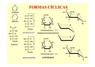 FORMAS CÍCLICAS                                   H
                                                                        HO            CH2OH
     FURANO
                                               CH2OH                                          H
                                                                                                  o
                   H   C   OH                                                         H

                   H   C   OH
                                                       o    H
                                                                             HO
                                          H
                                O              H                                  H           OH
     PIRANO       HO   C   H                                                                               H
                                               OH      H
                   H   C   OH                               OH                                        OH
                                          OH
                                                                                      o
 H        O        H   C
      C                                        H       OH
                       CH2OH
 H    C   OH                            α-D-glucopiranosa (1/3)

HO    C   H
                 HEMIACETAL         Fórmulas de proyección de Haworth

 H    C   OH
                                                                                      o
 H    C   OH     HO    C   H                   CH2OH

      CH2OH        H   C   OH                          o
                                          H                 OH
                                O              H
     D-glucosa    HO   C   H
                                               OH      H                      H
                   H   C   OH                               H
                                          OH                            HO            CH2OH
                   H   C
                                                                                              H
                                                                                                  o
                                               H       OH                             H
                       CH2OH
                                         β-D-glucopiranosa (2/3)             HO

                                                                                  H           OH
                 mutarrotación            ANÓMEROS                                                         OH
                                                                                                      H
 