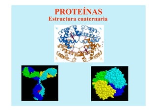 PROTEÍNAS
Estructura cuaternaria
 