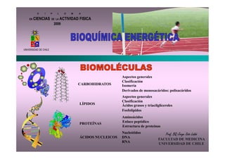 D     I      P     L     O   M   A

    EN   CIENCIAS      DE LA     ACTIVIDAD FISICA
                           2009




UNIVERSIDAD DE CHILE




                                                              Aspectos generales
                                                              Clasificación
                                           CARBOHIDRATOS      Isomería
                                                              Derivados de monosacáridos: polisacáridos
                                                              Aspectos generales
                                                              Clasificación
                                           LÍPIDOS            Ácidos grasos y triacilgliceroles
                                                              Fosfolípidos
                                                              Aminoácidos
                                                              Enlace peptídico
                                           PROTEÍNAS
                                                              Estructura de proteínas
                                                              Nucleótidos                 Prof. BQ Jorge Soto Labbé
                                           ÁCIDOS NUCLEICOS   DNA
                                                                                     FACULTAD DE MEDICINA
                                                              RNA
                                                                                     UNIVERSIDAD DE CHILE
 