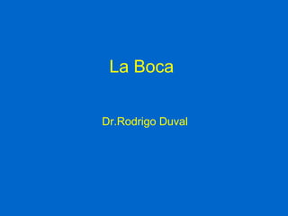 La Boca
Dr.Rodrigo Duval
 