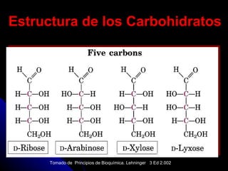 Estructura de los Carbohidratos Tomado de  Principios de Bioquímica. Lehninger  3 Ed 2.002 