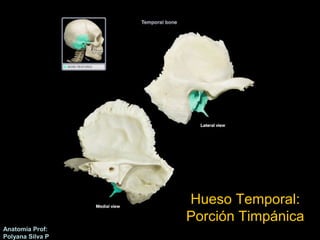 Anatomía Prof: 
Polyana Silva P 
Hueso Temporal: 
Porción Timpánica 
 