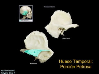 Anatomía Prof: 
Polyana Silva P 
Hueso Temporal: 
Porción Petrosa 
 