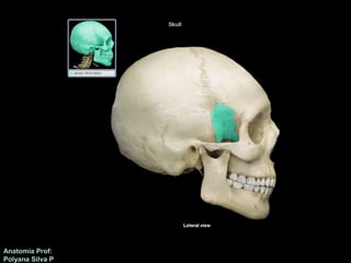 Anatomía Prof: 
Polyana Silva P 
 