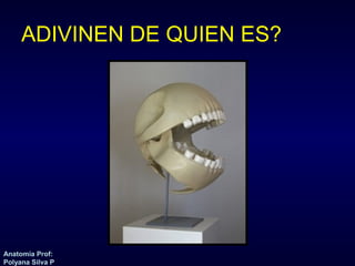 ADIVINEN DE QUIEN ES? 
Anatomía Prof: 
Polyana Silva P 
 