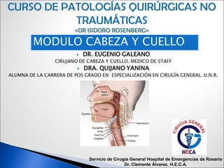  DR. EUGENIO GALEANO
CIRUJANO DE CABEZA Y CUELLO. MEDICO DE STAFF
 DRA. QUIJANO YANINA
ALUMNA DE LA CARRERA DE POS GRADO EN ESPECIALIZACIÓN EN CIRUGÍA GENERAL. U.N.R.
MODULO CABEZA Y CUELLO
Servicio de Cirugía General Hospital de Emergencias de Rosario
Dr. Clemente Álvarez. H.E.C.A.
 