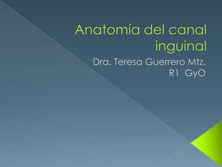 Anatomía del canal inguinal Dra. Teresa Guerrero Mtz. R1  GyO 