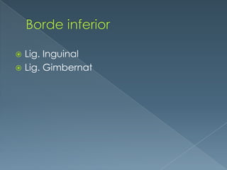 Borde inferiorLig. InguinalLig. Gimbernat