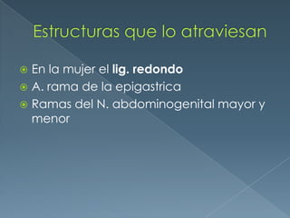Estructuras que lo atraviesanEn la mujer el lig. redondoA. rama de la epigastricaRamas del N. abdominogenital mayor y menor
