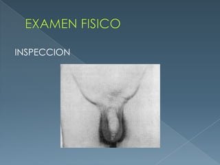 EXAMEN FISICOINSPECCION