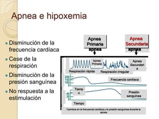 Apnea e hipoxemia

                                                               Apnea
                                                                Primar                         Apnea
                                                                                             Secondar
   Disminución de la                                          Primaria
                                                                y                           Secundaria
                                                                                             y
    frecuencia cardíaca                                         apnea                        apnea

    Cese de la
                                       Respirations
                                                                 Apnea                          Apnea
                                                                 Primaria                       Secundari
    respiración                                                                                    a
                                                 Respiración rápida     Respiración irregular
   Disminución de la
                          Heart rate




                                                                               Frecuencia cardíaca
    presión sanguínea
                                                      Tiemp
   No respuesta a la                                   o                                     Presión
                          pressure
                           Blood




                                                                                             sanguínea
    estimulación
                                                      Tiempo
                                       Cambios en la frecuencia cardíaca y la presión sanguínea durante la
                                                                     apnea
 