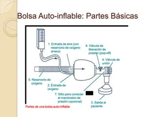 Bolsa Auto-inflable: Partes Básicas


                  1. Entrada de aire (con
                                                6. Válvula de
                     reservorio de oxígeno
                                                   liberación de
                     anexo)
                                                   presión (pop-off)

                                                             4. Válvula de
                                                             unión




    5. Reservorio de
       oxígeno
                  2. Entrada de
                  oxígeno
                       7. Sitio para conectar
                          el manómetro de
                          presión (opcional)        3. Salida al
  Partes de una bolsa auto-inflable                 paciente
 