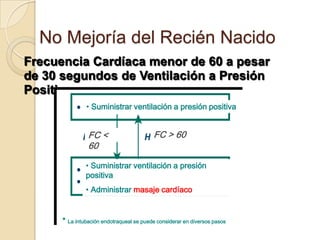 No Mejoría del Recién Nacido
Frecuencia Cardíaca menor de 60 a pesar
de 30 segundos de Ventilación a Presión
Positiva
               • Suministrar ventilación a presión positiva


                FC <                      FC > 60
                60

               • Suministrar ventilación a presión
               positiva
               • Administrar masaje cardíaco


      * La intubación endotraqueal se puede considerar en diversos pasos
 