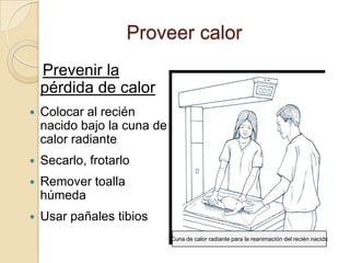 Proveer calor
    Prevenir la
    pérdida de calor
   Colocar al recién
    nacido bajo la cuna de
    calor radiante
   Secarlo, frotarlo
   Remover toalla
    húmeda
   Usar pañales tibios
                             Cuna de calor radiante para la reanimación del recién nacido
 