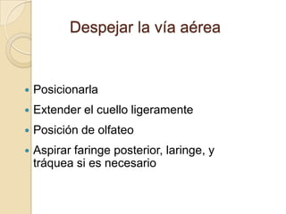Despejar la vía aérea


   Posicionarla
   Extender el cuello ligeramente
   Posición de olfateo
   Aspirar faringe posterior, laringe, y
    tráquea si es necesario
 