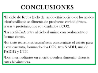 CONCLUSIONES   El ciclo de Krebs (ciclo del ácido cítrico, ciclo de los ácidos tricarboxilicos) se alimenta de productos carbohidratos, grasas y proteínas, que son oxidados a CO2. La acetil-CoA entra al ciclo al unirse con oxaloacetato y formar citrato. En siete reacciones enzimáticas consecutivas el citrato pasa a oxaloacetato, formando dos CO2, tres NADH, una de FADH2 y GTP. Los intermediarios en el ciclo pueden alimentar diversas rutas biosintéticas. 