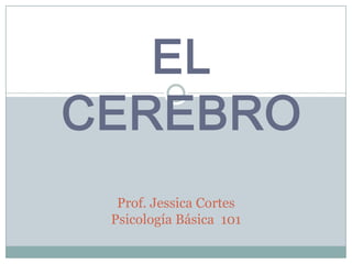 EL
CEREBRO
  Prof. Jessica Cortes
 Psicología Básica 101
 