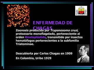 ENFERMEDAD DE CHAGAS Zoonosis producida por  Trypanosoma cruzi , protozoario monoflagelado, perteneciente al orden  Kinetoplástida , transmitido por insectos hematófagos pertenecientes a la subfamilia Triatominae. Descubierta por Carlos Chagas en 1909 En Colombia, Uribe 1929 