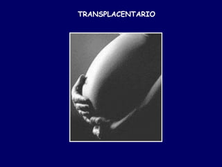 TRANSPLACENTARIO
 