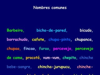 Nombres comunes




Barbeiro,       bicho-de-pared,       bicudo,

borrachudo, cafote, chupa-pinto, chupanca,

chupao, fincao, furao, percevejo, percevejo

de cama, procotó, vum-vum, chepito, chinche

bebe-sangre,     chincha-jurupucu,   chinche-
 