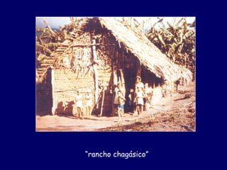 “rancho chagásico”
 