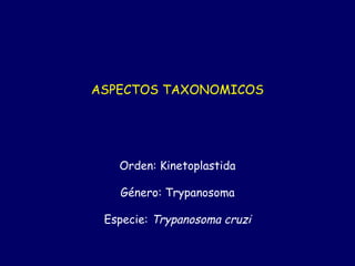 ASPECTOS TAXONOMICOS




   Orden: Kinetoplastida

   Género: Trypanosoma

 Especie: Trypanosoma cruzi
 