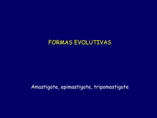 FORMAS EVOLUTIVAS




Amastigote, epimastigote, tripomastigote
 