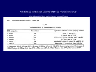 Unidades de Tipificación Discreta (DTU) de Trypanosoma cruzi

         Marcadores genéticos, moleculares o inmunológicos
 