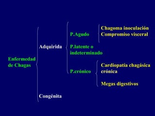Chagoma inoculación
                         P.Agudo     Compromiso visceral

             Adquirida   P.latente o
                         indeterminado
Enfermedad
de Chagas                            Cardiopatía chagásica
                         P.crónico   crónica

                                     Megas digestivos

             Congénita
 