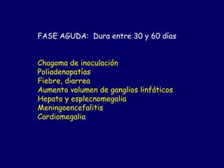 FASE AGUDA: Dura entre 30 y 60 días


Chagoma de inoculación
Poliadenopatías
Fiebre, diarrea
Aumento volumen de ganglios linfáticos
Hepato y esplecnomegalia
Meningoencefalitis
Cardiomegalia
 