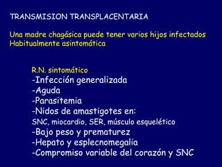 TRANSMISION TRANSPLACENTARIA

Una madre chagásica puede tener varios hijos infectados
Habitualmente asintomática


      R.N. sintomático
      -Infección generalizada
      -Aguda
      -Parasitemia
      -Nidos de amastigotes en:
      SNC, miocardio, SER, músculo esquelético
      -Bajo peso y prematurez
      -Hepato y esplecnomegalia
      -Compromiso variable del corazón y SNC
 
