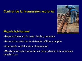 Control de la transmisión vectorial




Mejoría habitacional
-Reparaciones en la casa: techo, paredes
-Reconstrucción de la vivienda: sólida y amplia
-Adecuada ventilación e iluminación
-Mantención adecuada de las dependencias de animales
domésticos
 