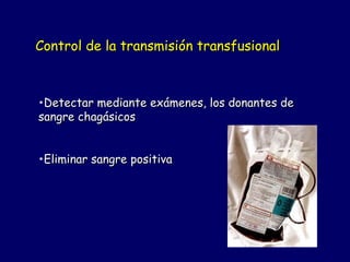 Control de la transmisión transfusional



•Detectar mediante exámenes, los donantes de
sangre chagásicos


•Eliminar sangre positiva
 